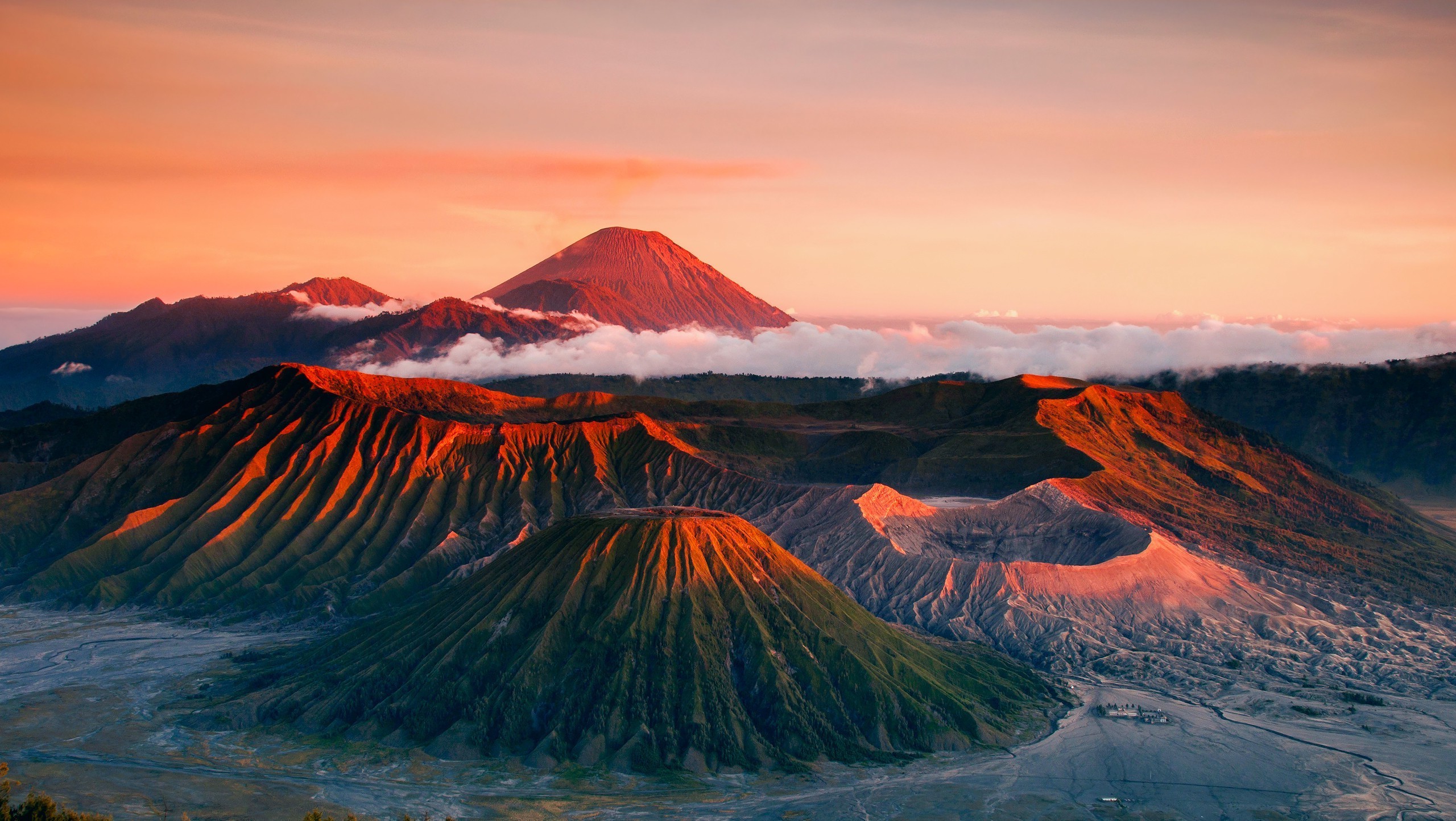 Menjelajahi Pesona Gunung Bromo: Keindahan Alam dan Budaya Jawa Timur Bersama BOI Tour & Travel