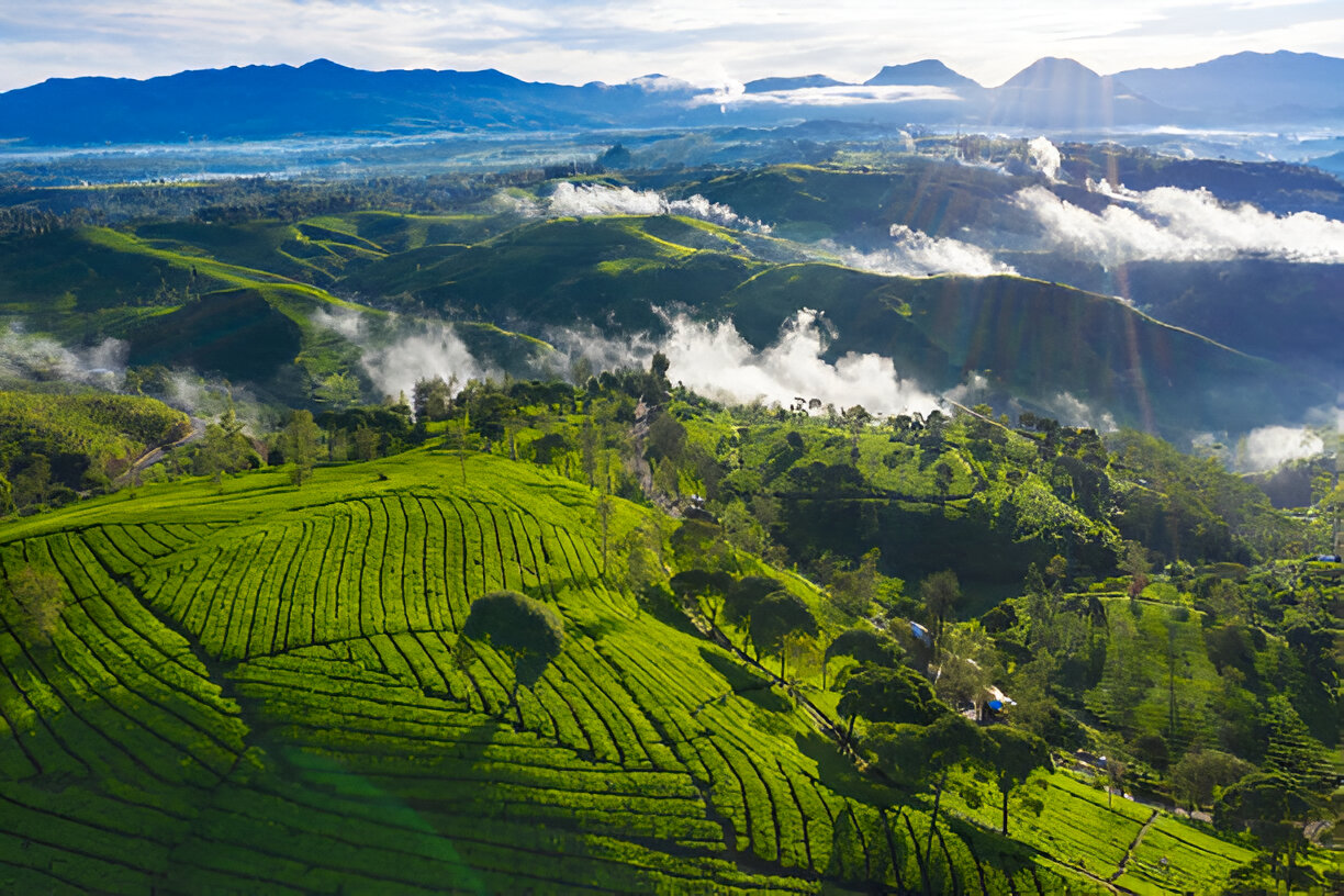 Pesona Alam Ciwidey: Surga Tersembunyi di Jawa Barat Bersama BOI Tour & Travel