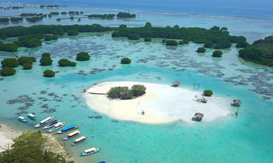 Pesona Pulau Pari: Surga Tropis di Kepulauan Seribu Bersama BOI Tour & Travel